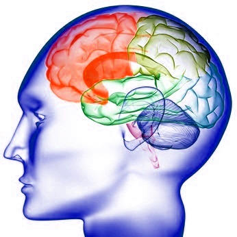 What Is Emotional Intelligence And How To Learn It